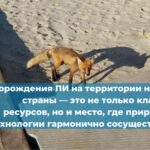 Какой перерыв для отдыха  должен быть у крановщика башенного крана за время рабочей смены?