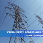 Птиц, пострадавших от мазута в Анапе, отправили на временное содержание в Ставрополь
