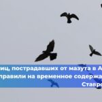 Китай планирует начать бурение первой в мире скважины до мантии Земли с помощью исследовательского судна «Мечта», которое сейчас находится в порту Гуанчжоу