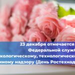 На 1 ноября 2024 года в Российской Федерации насчитывается 589 330 опасных технических устройств