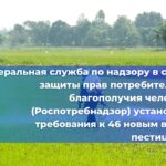 Власти вновь заявили о своей поддержке производителей канатных дорог в России. Об этом было объявлено на совещании, посвящённом вопросам замещения импорта в туристической отрасли, которое провёл заместитель председателя правительства Дмитрий Чернышенко