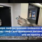 Власти снова заявляют о своей поддержке российских производителей канатных дорог. Это было озвучено на встрече, посвящённой вопросам импортозамещения в туристической отрасли, которую провёл заместитель председателя Правительства РФ Дмитрий Чернышенко