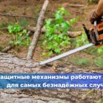 ФРСН на 06.05.2025