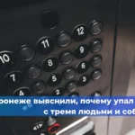 Вступил в силу новый ГОСТ для спектральных видеосистем в неразрушающем контроле