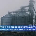 Кто на предприятии на самом деле отвечает за безопасность: руководитель или назначенный специалист?